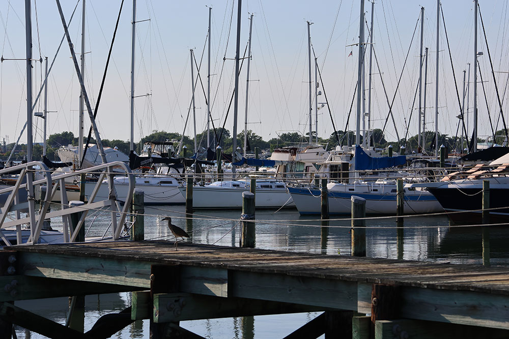 Picture of the Old Point Comfort Marina docks. 