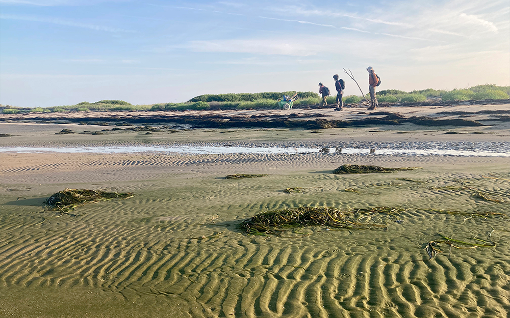 New graduate students participate in an orientation field trip to the barrier island environment of Virginia’s Eastern Shore.