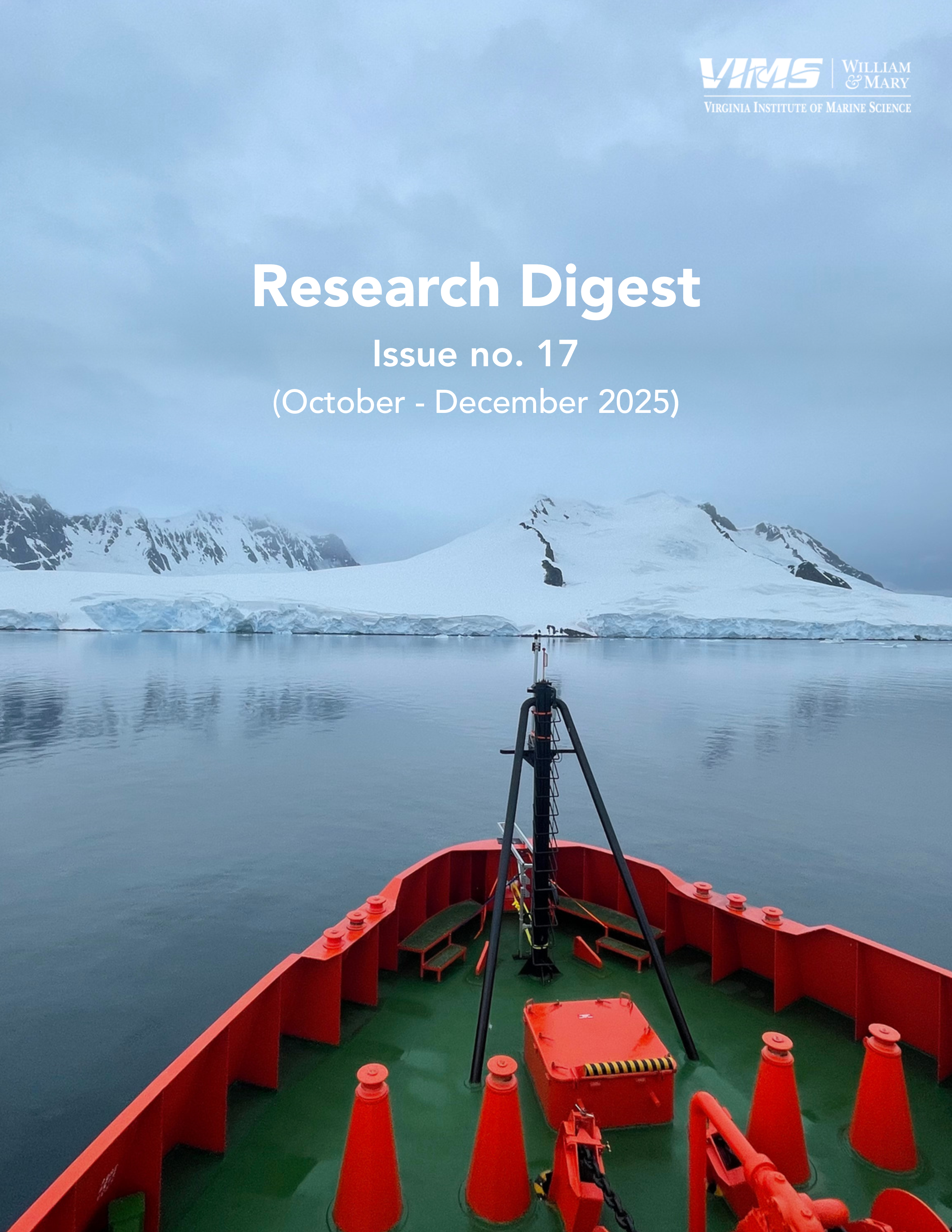 Issue no. 17 – Cover