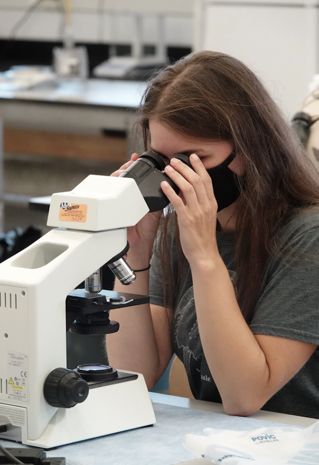 Get involved in marine science research opportunities