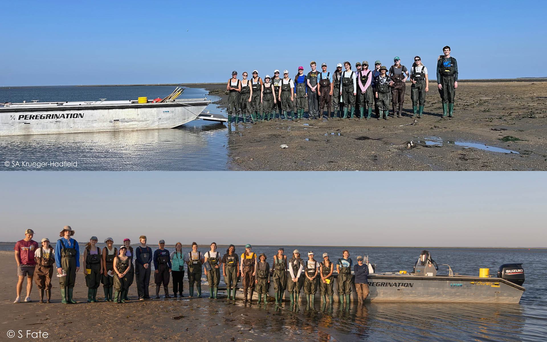 Students in the Field Studies in Coastal Marine Environments and Special Topics in Environmental Science and Policy keep their feet dry exploring barrier islands on the Eastern Shore thanks to the VIMS ESL Bootery. Photos by Stacy Krueger-Hadfield and Sean Fate.