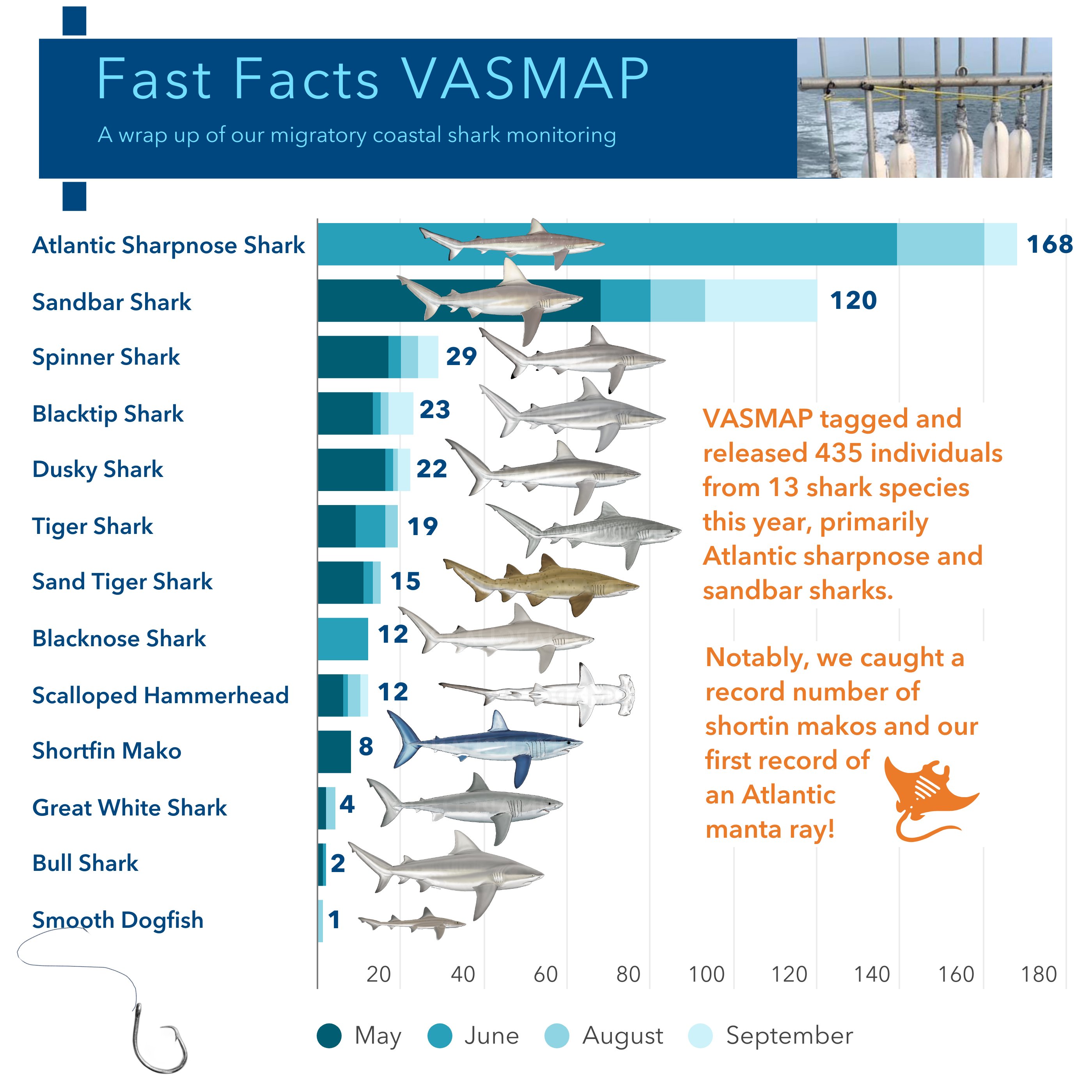 Infographic report with numbers from 2025 shark survey season.