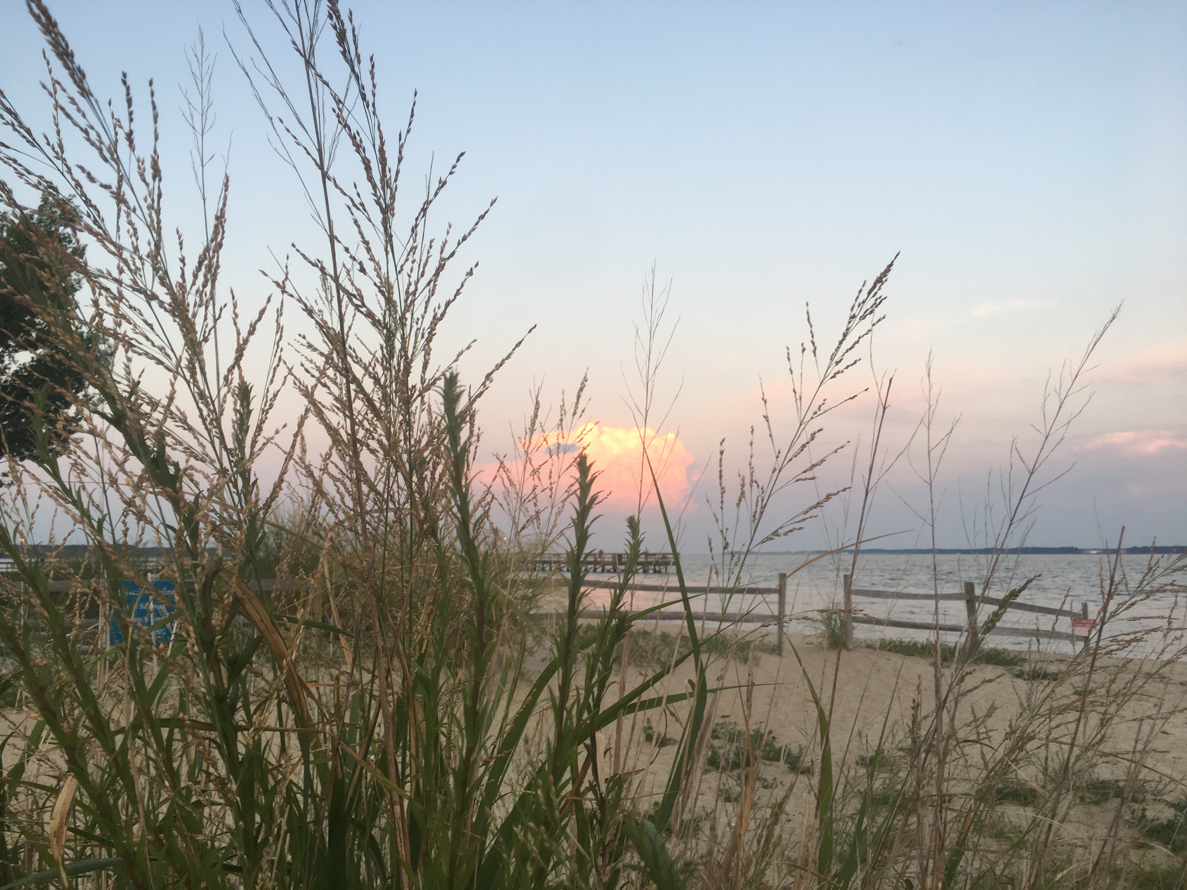 A peak at Gloucester Point Beach Park sands. Credit: C. Gonzalez.