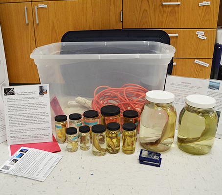 open water kit supplies