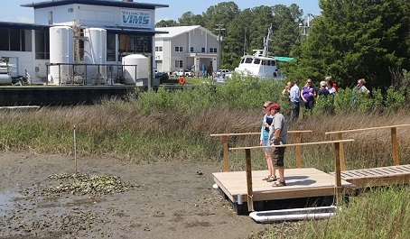 Person standing on a small dock in a marsh with a group nearby and VIMS building in the background.