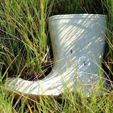 Single rubber boot lying in tall marsh grass with sunlight casting shadows across it.