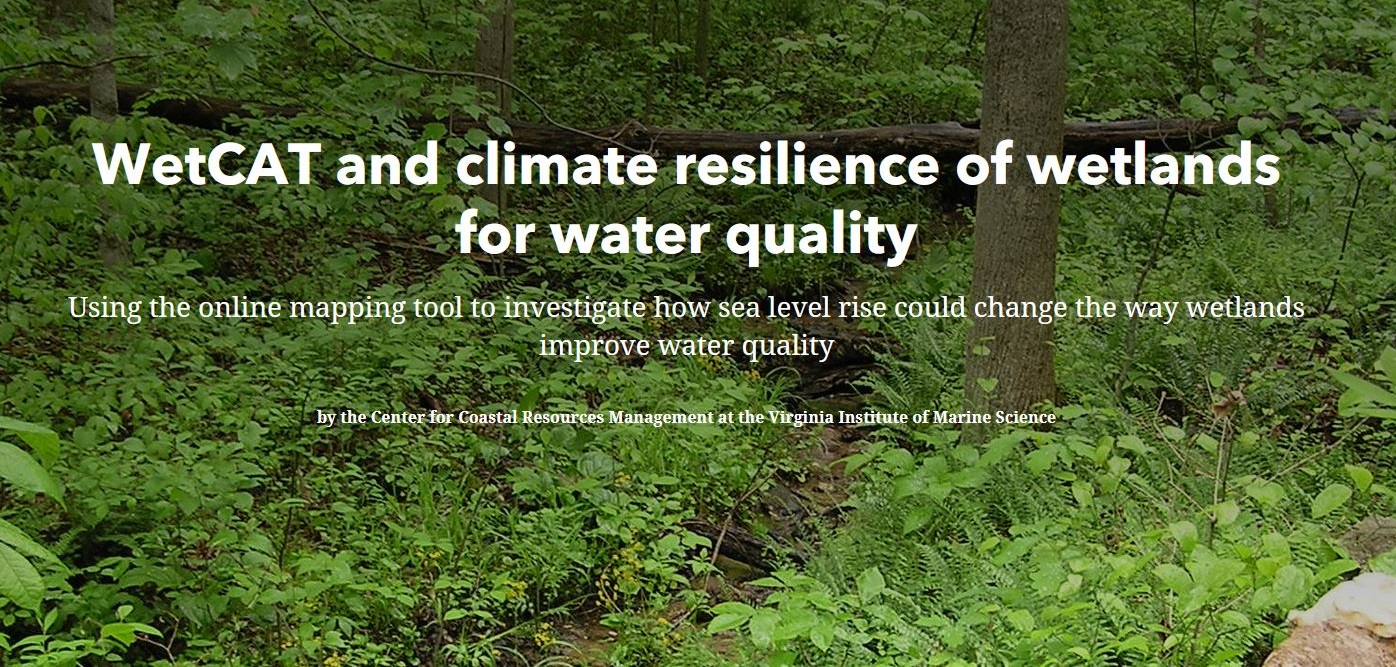 Text over a forest scene reads “WetCAT and climate resilience of wetlands for water quality,” with a subtitle about using an online mapping tool to study sea level rise impacts.
