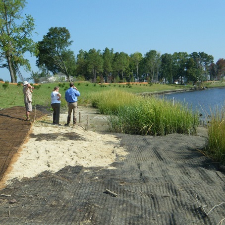 Three people standing on a shoreline near newly planted grasses and erosion control matting, looking out over the water.