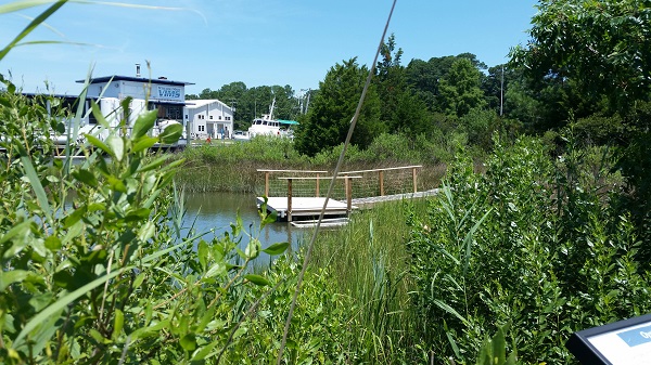 Teaching Marsh in 2019 - After 20 years