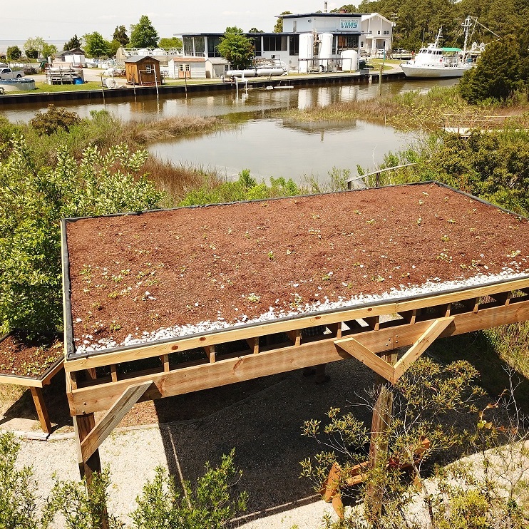 Living Roof