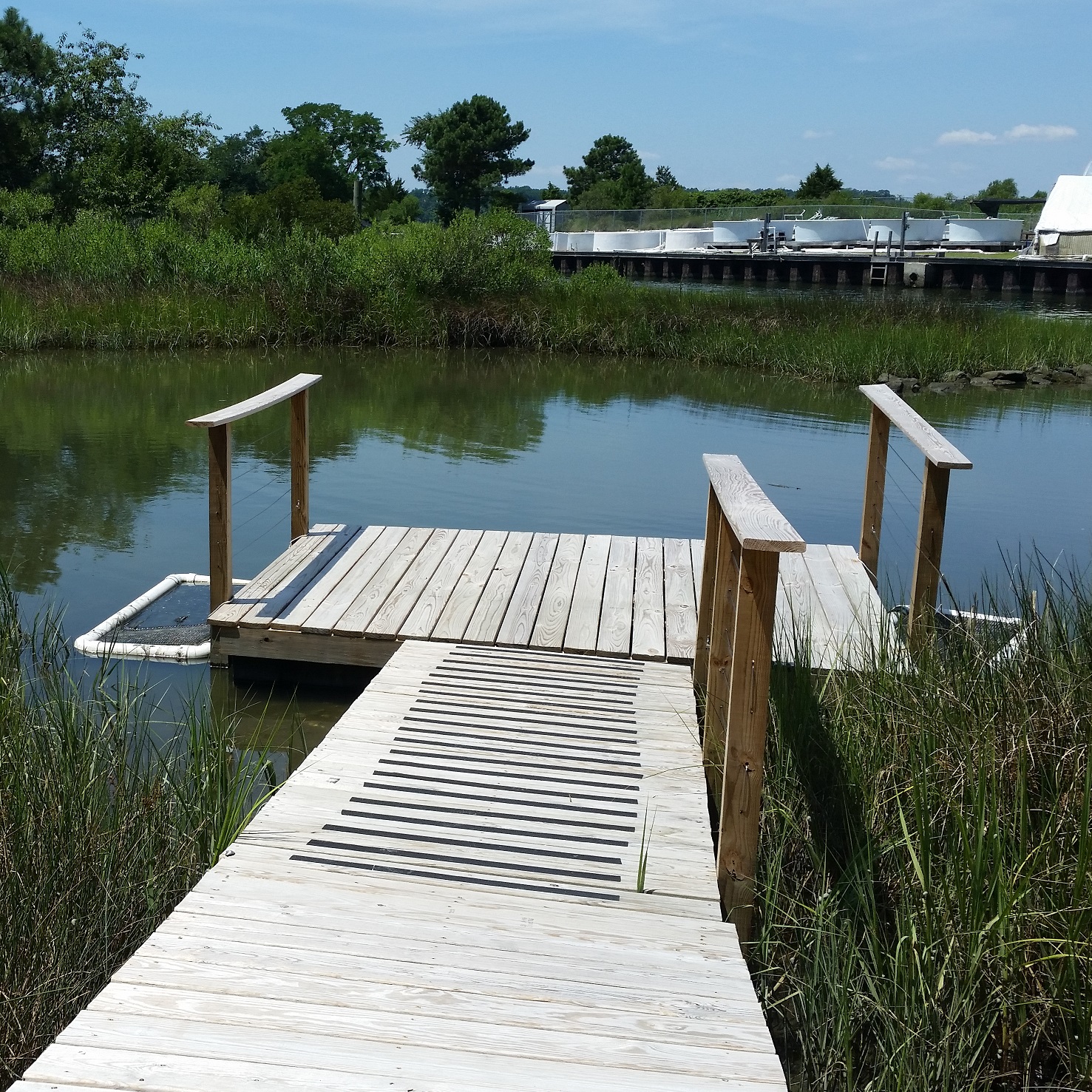 Floating Pier