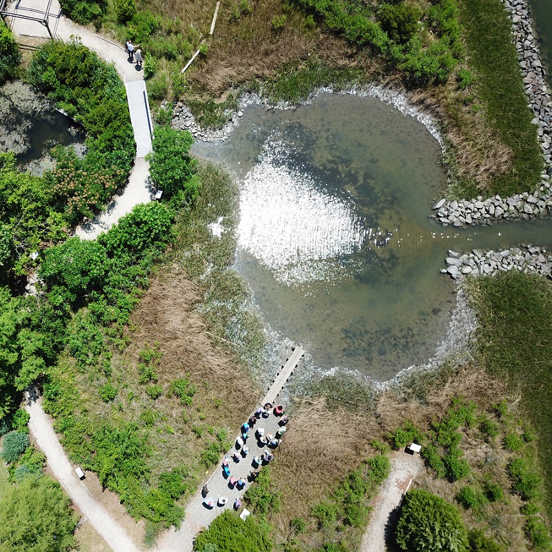 Drone Photo