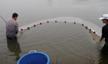Two people standing in shallow water pulling a seine net with floats, with a blue bucket in the foreground.