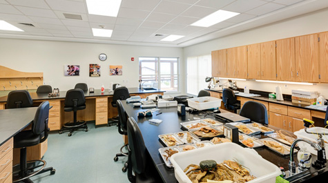 Seaside Hall Laboratory Space