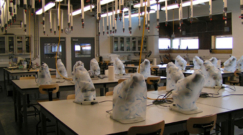 Seawater Laboratory teaching space with microscopes