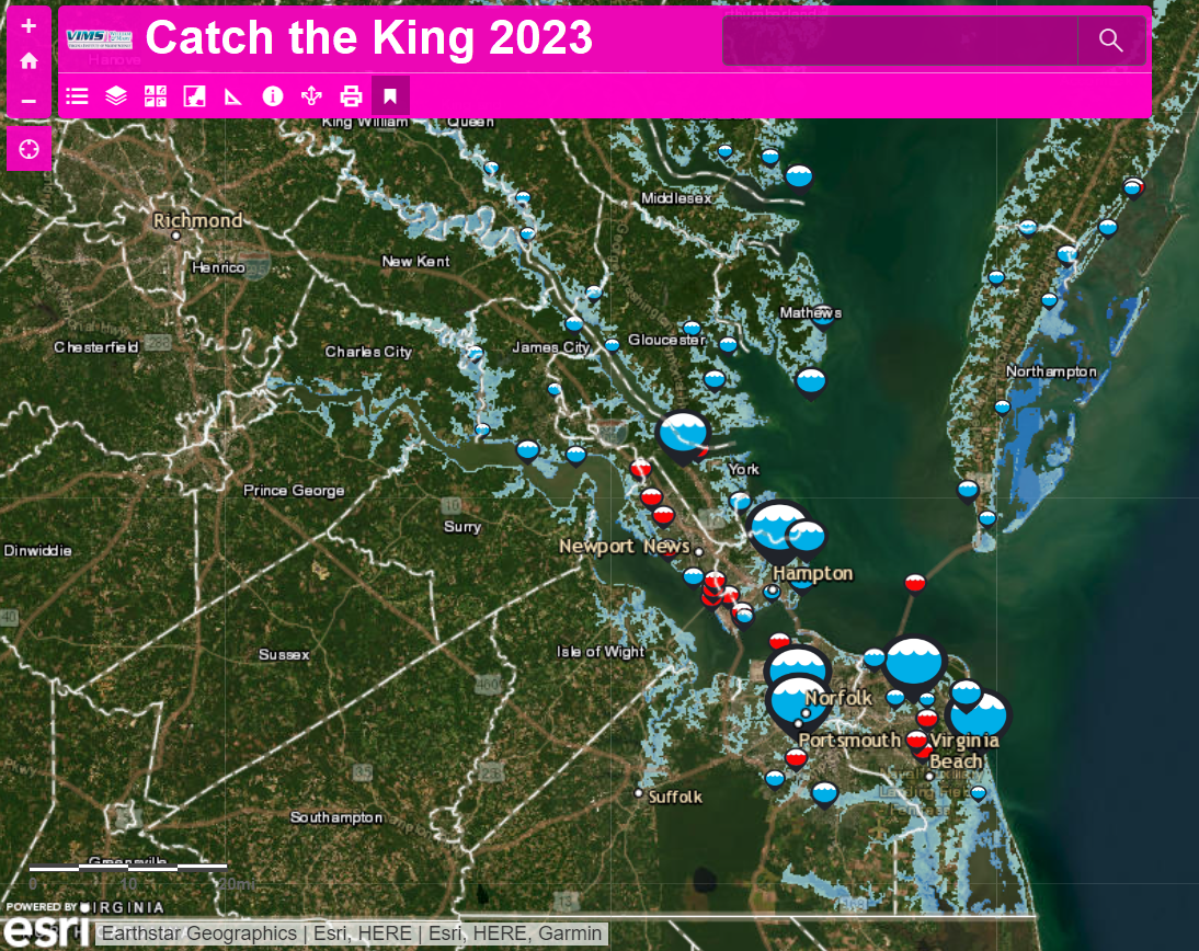 Catch the King 2023