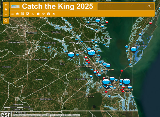 Catch the King 2025