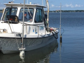 The researchers piloted their instrumented vessel slowly through each oyster farm and its surrounding area, using a bow-mounted acoustic Doppler current profiler to measure current speed and direction, and a stern-mounted datasonde to record chlorophyll, turbidity, and dissolved oxygen. © Grace Massey/VIMS.