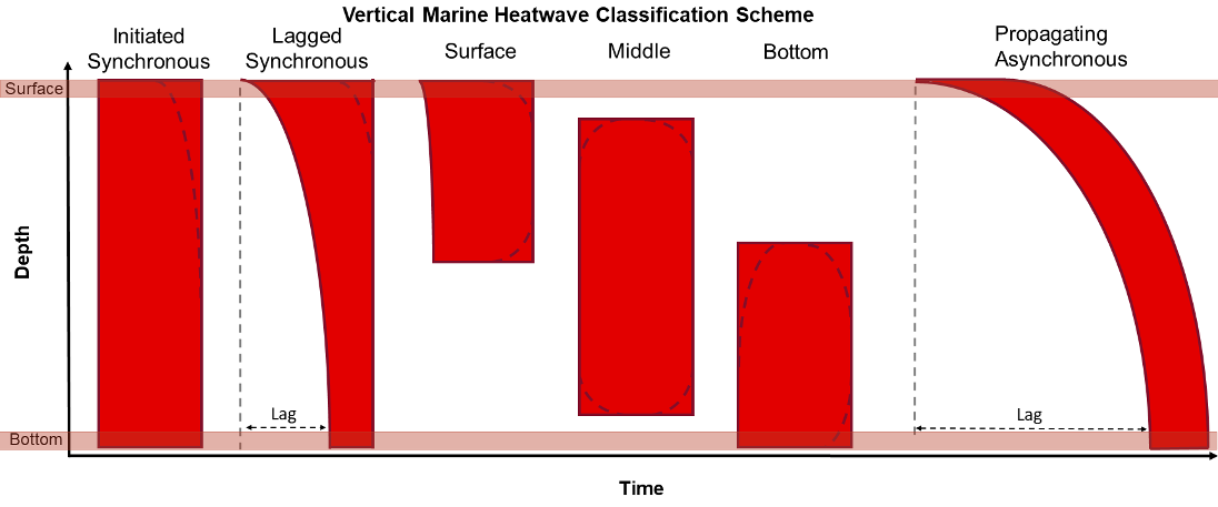 Vertical MHW Classification Scheme. The polygons represent the development of an event across time and depth. Dashed lines indicate alternate beginnings and endings based on the classification definition.
