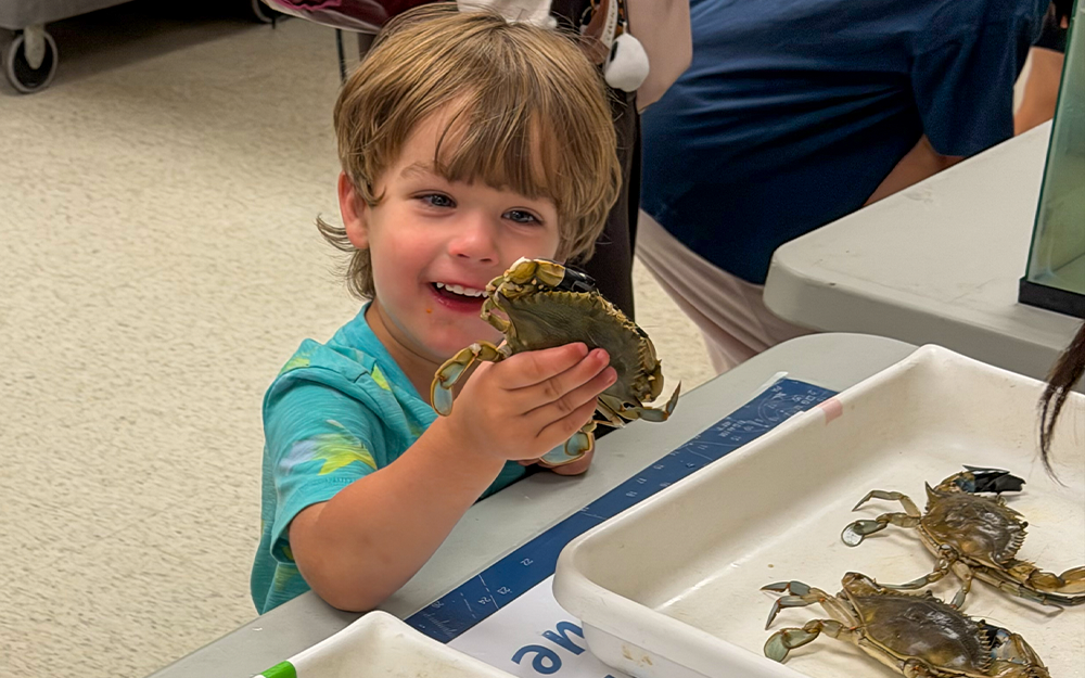 A young Marine Science Day attendee holding a blue crab.