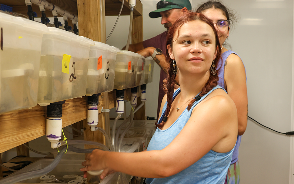 Caitlin Murphy feeding crabs within her lab. Photo by Piper Gilly.