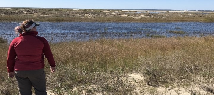 Kayla Cahoon looks out at flooded coastal marshland