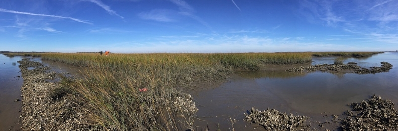 Landscape photo of low salt marsh, where parts of the marsh are submerged and other areas remain above water level