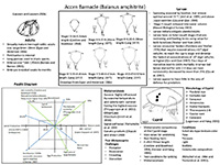 Paulik diagrams from a larval ecology class which included references are displayed via a Flickr gallery