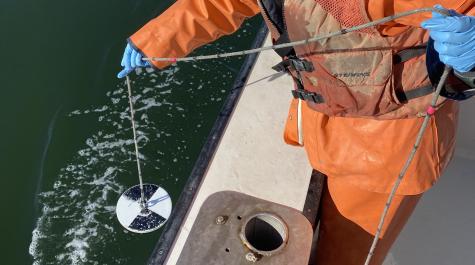 A scientist deploys a secchi disk to measure turbidity levels in the water