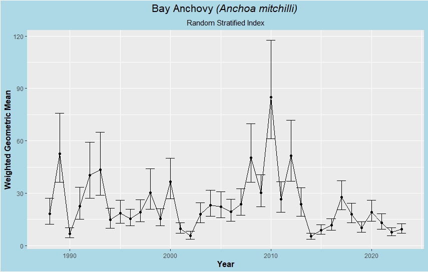 Bay Anchovy index of abundance figure. The graph shows Bay Anchovy annual indices of abundance from all sampling stations from 1988 to 2023.