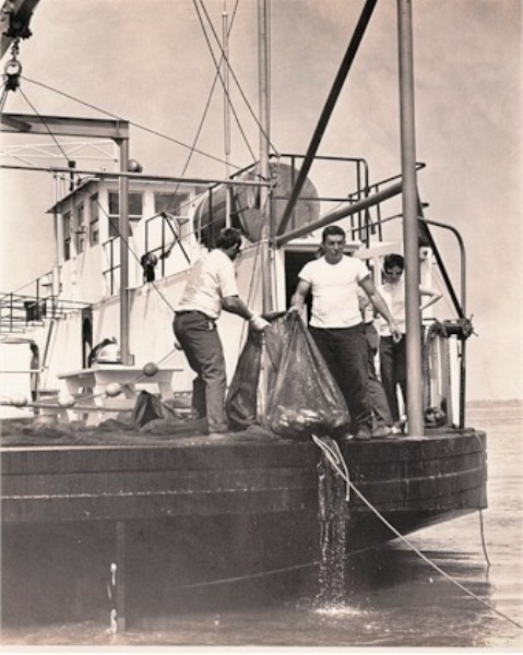 Scientists bring a full trawl net onboard the research vessel after a trawl session