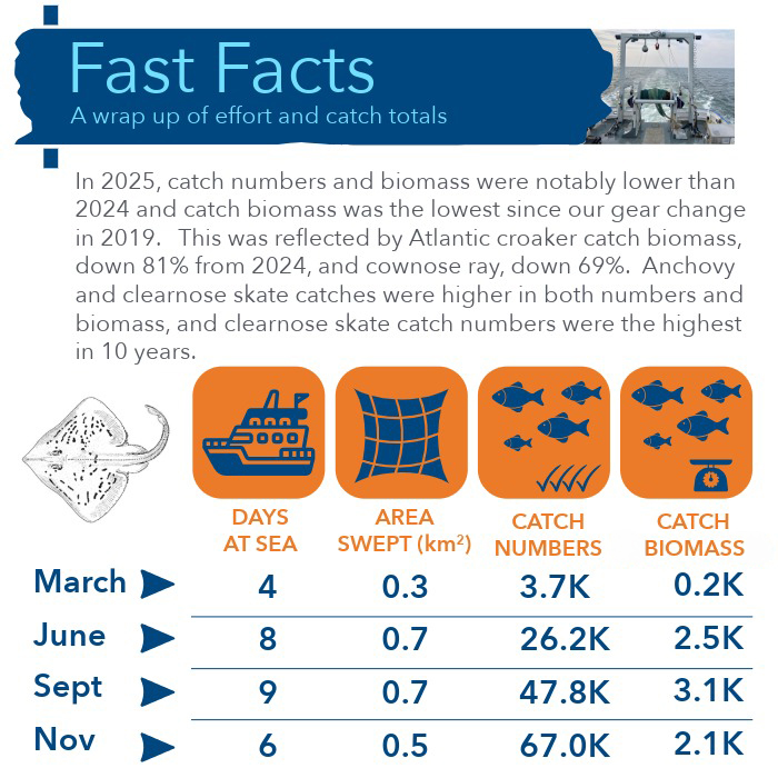 Fast Facts: a wrap up of effort and catch totals with informational text and table on days at sea, area swept, catch numbers, and catch biomass for March, June, September, and November.