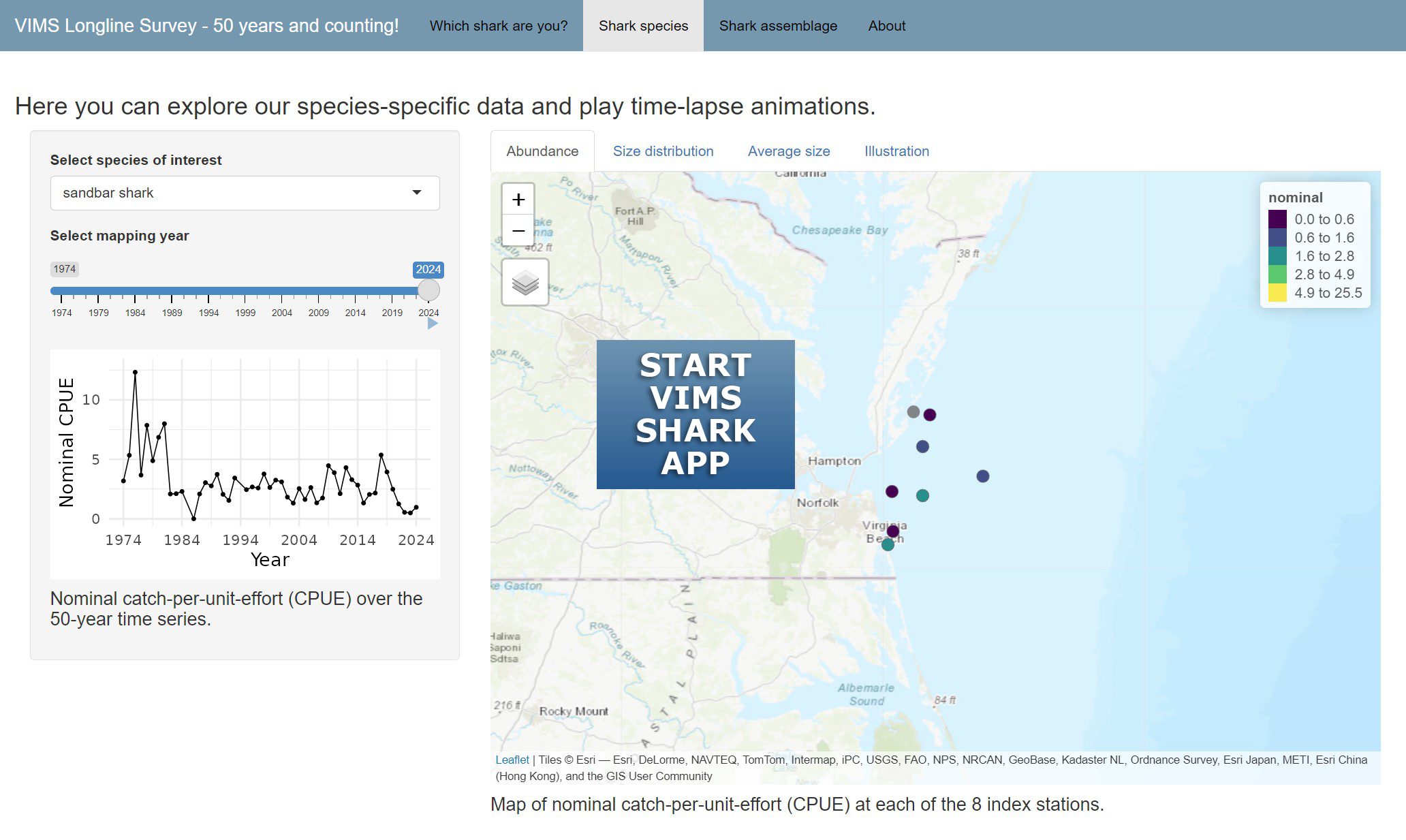 excerpt of shark monitoring data query app