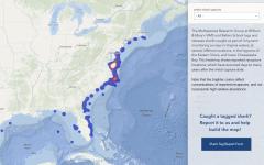 map of shark tag and release locations