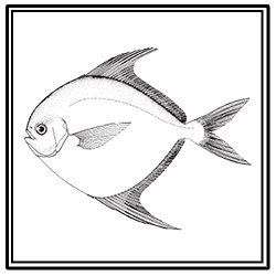 harvestfish