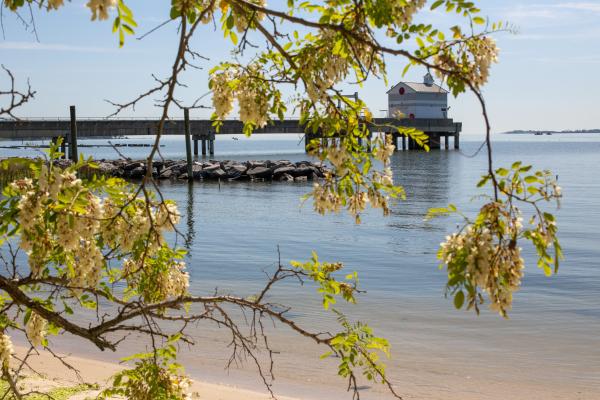 a view of the York River showing the VIMS pier